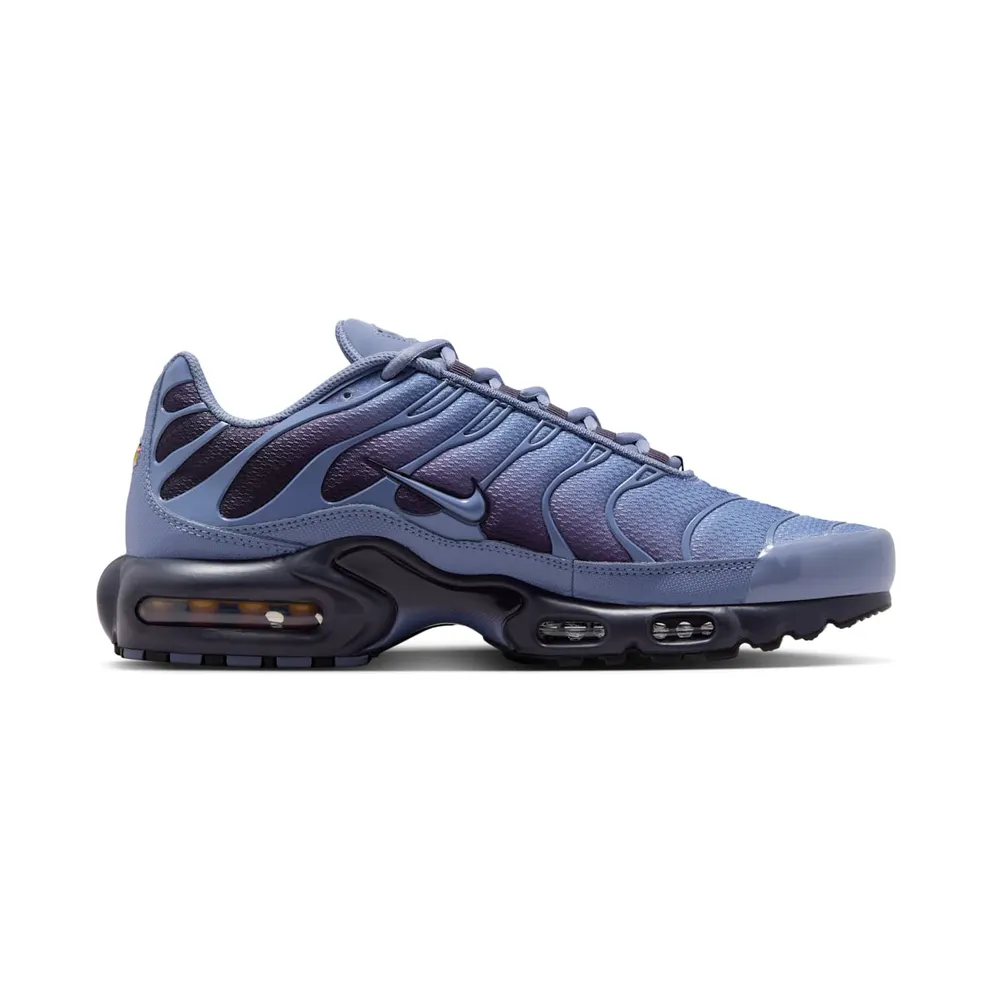 Nike Air Max Plus “World Indigo” (DM0032-404)