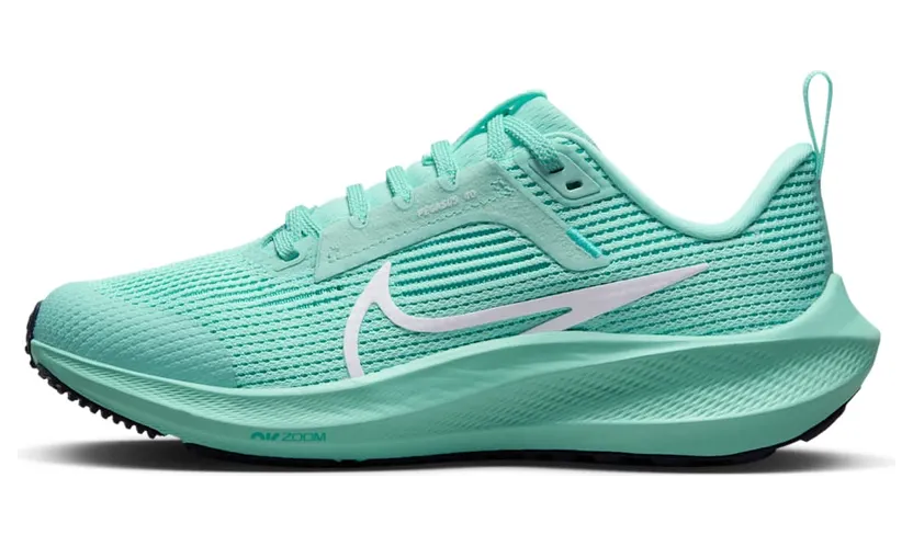 nike-air-pegasus DX2498-300