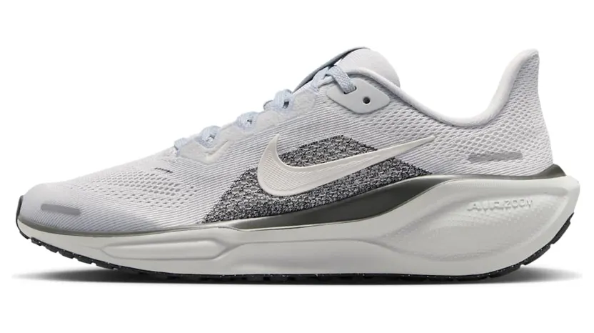 Nike Pegasus Pure Platinum/Anthracite/Light Silver/Sail (FN5041-006)