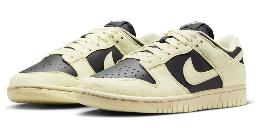 nike-dunk HJ7673-005