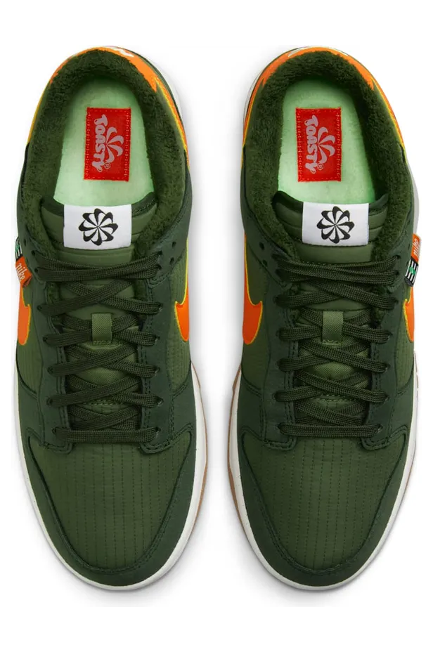 nike-dunk DD3358-300