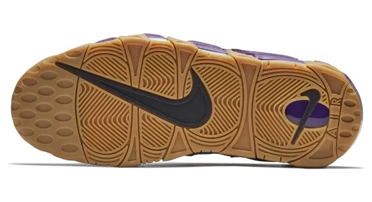 nike-air-more-money AR5401-500