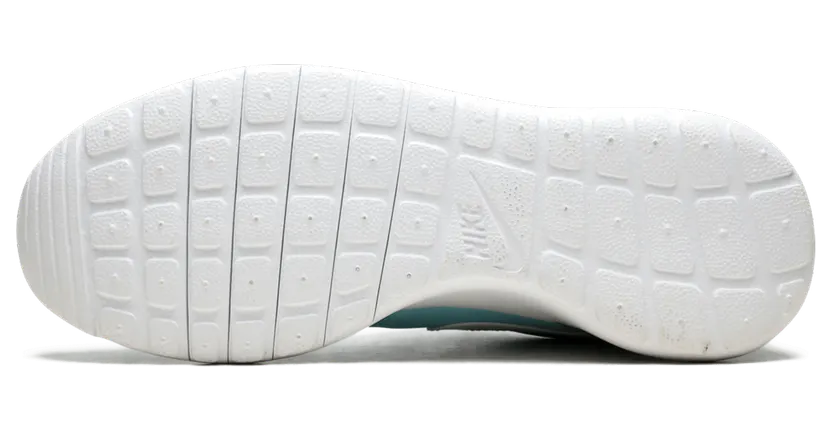 nike-roshe 677784-401
