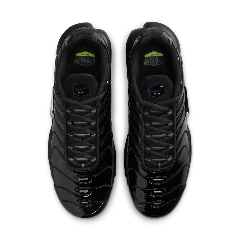 Nike Air Max Plus Black Chrome (FJ2591-001)