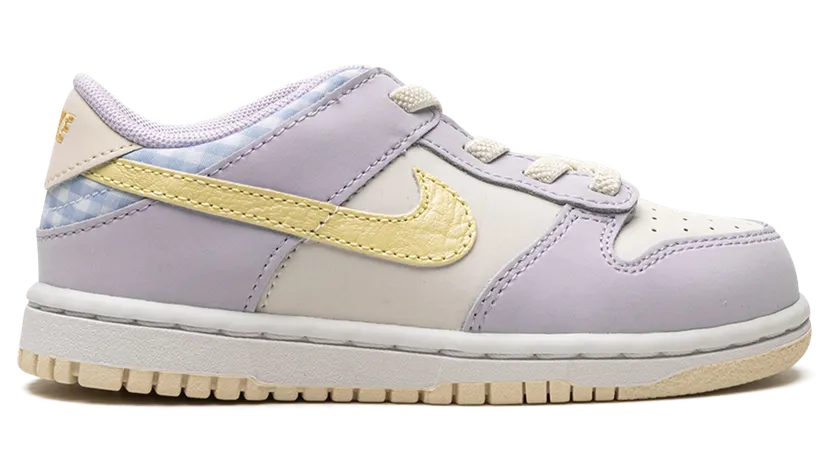 nike-dunk FJ4643-536