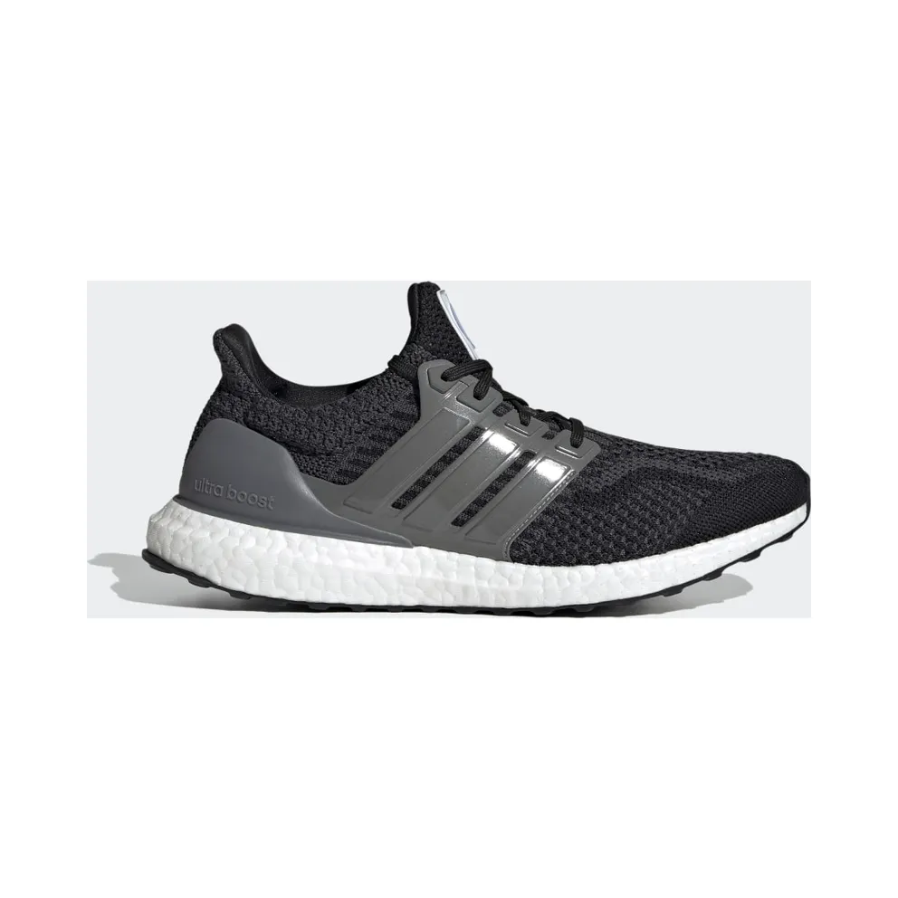 adidas x NASA Ultraboost DNA 5.0 (FZ1855)