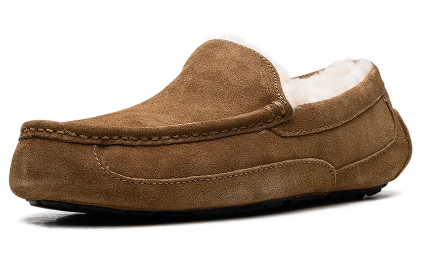 ugg-ascot 1101110-CHE