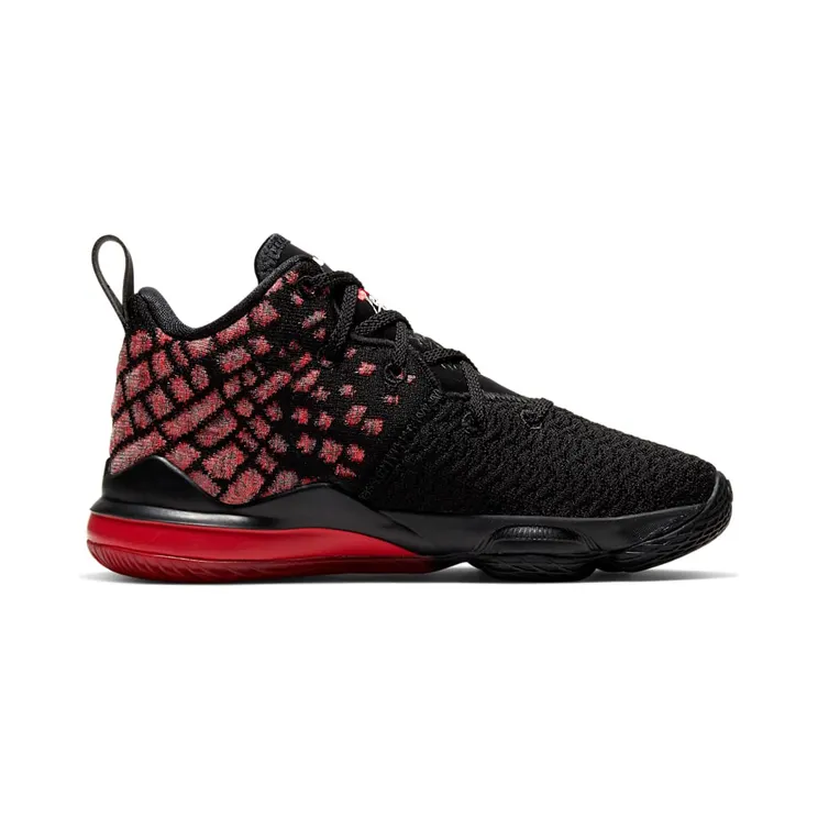 nike-lebron-17 BQ5595-006