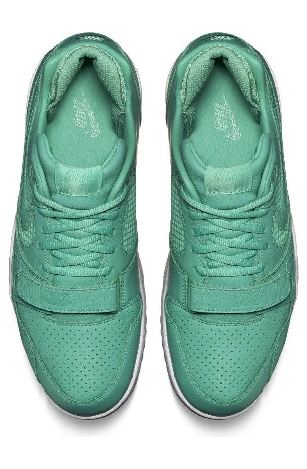 nike-air-trainer 708459-300
