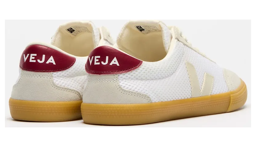 veja-volley VO2203866
