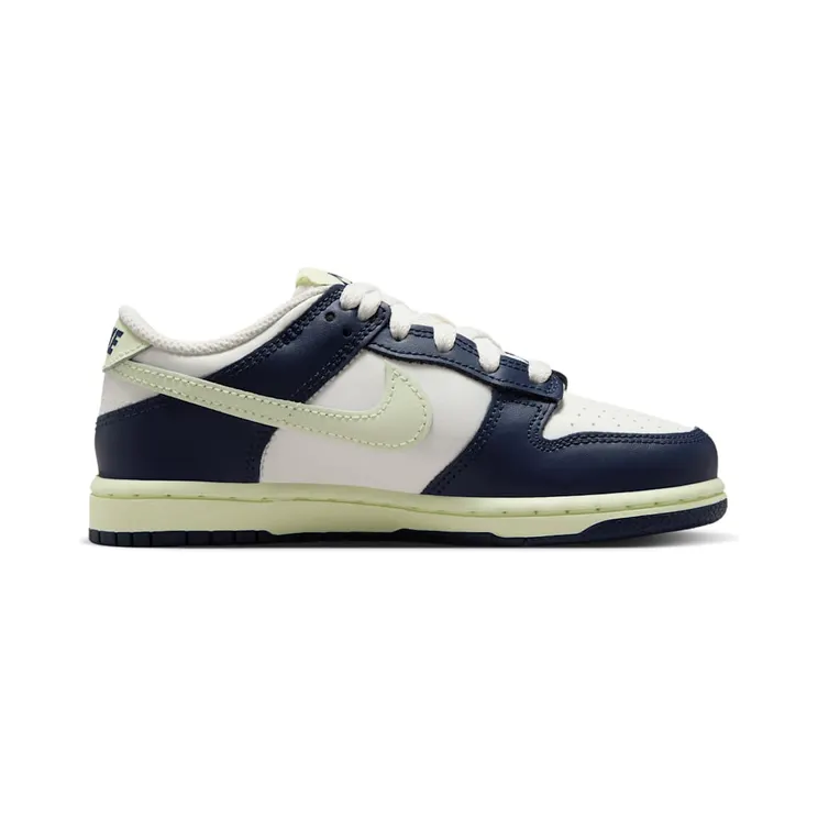 nike-dunk FB9108-127