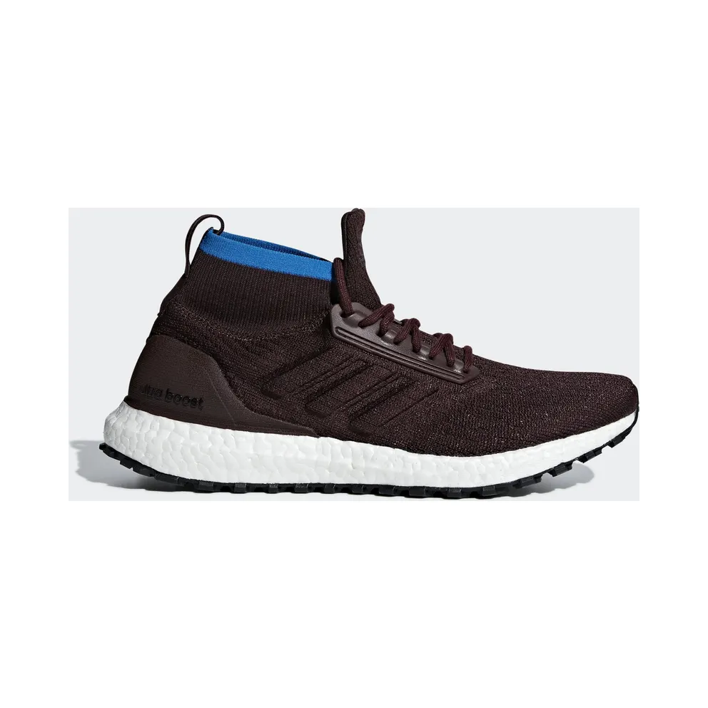 adidas Ultra Boost All Terrain Night Red Bright Blue (CM8255)