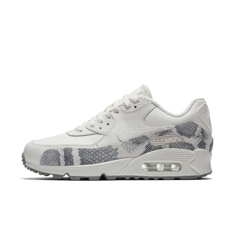 Nike Air Max 90 Phantom Phantom Gunsmoke (W) (896497-007)