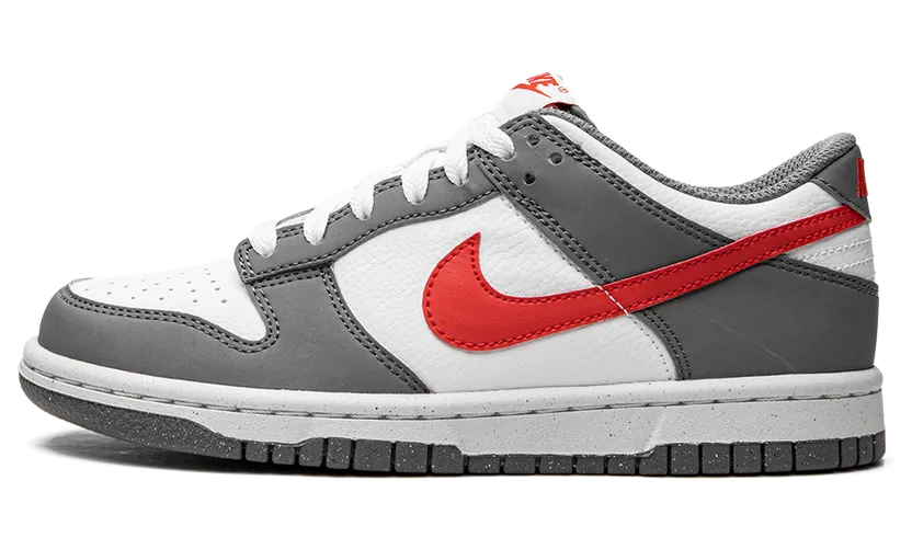 Nike Dunk Low Next Nature GS “Smoke Grey” (FB8038-001)