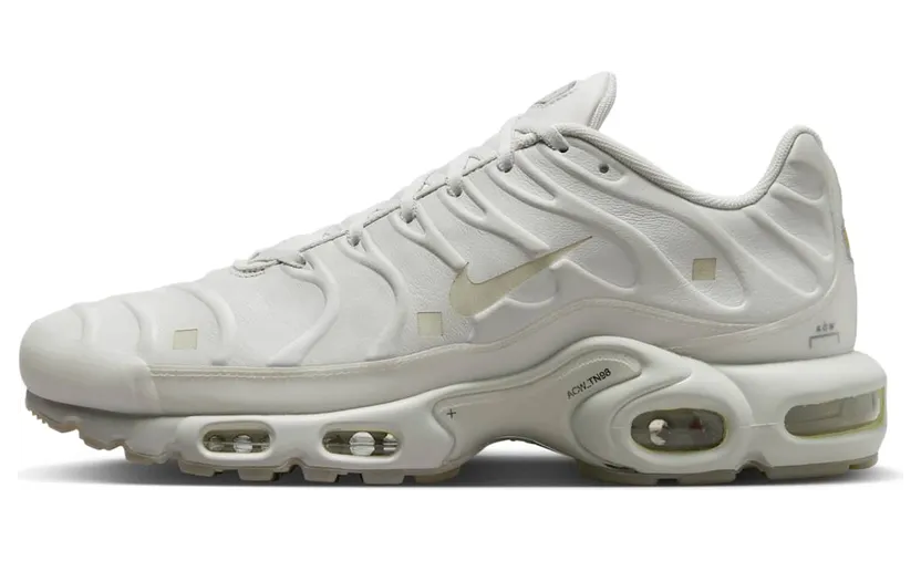Nike Air Max Plus x A-COLD-WALL* Platinum Tint/Black/Stone/Light Bone (FD7855-002)