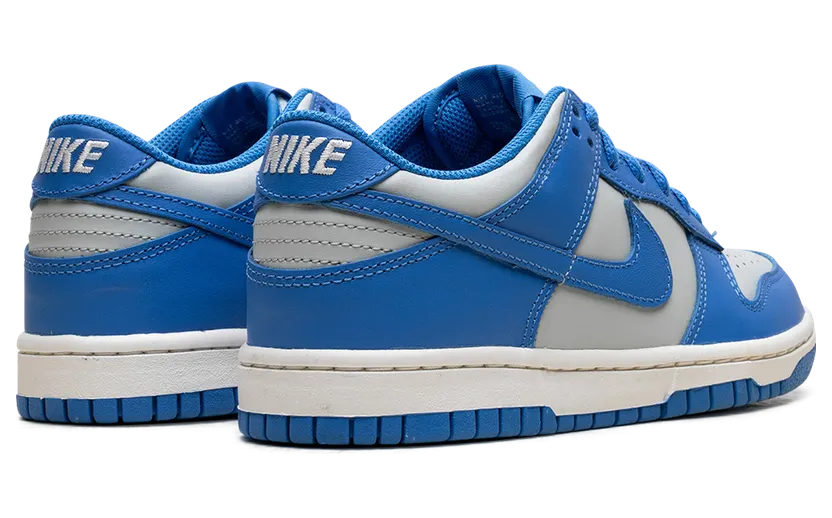 nike-dunk FB9109-004
