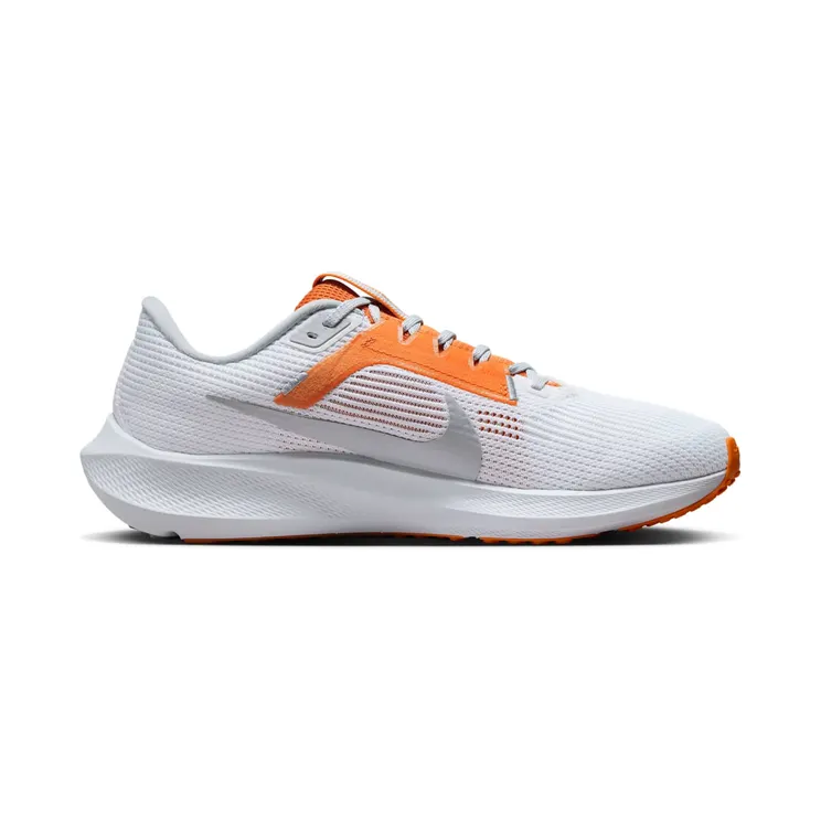 nike-air-pegasus DZ5980-100