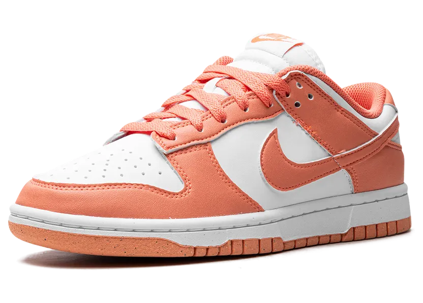 nike-dunk DD1873-109