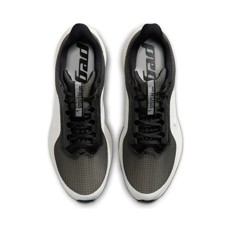 nike-air-pegasus IR2166-001