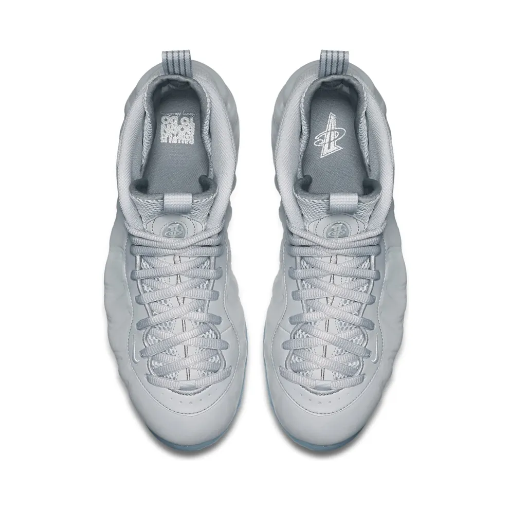 Nike Air Foamposite One Wolf Grey Suede Wolf Grey/White-Wolf Grey-Black (575420-007)