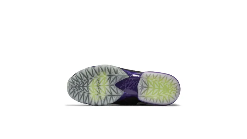 Nike Zoom CJ Trainer 2 Galaxy Black/Metallic Silver-Court Purple (643258-005)