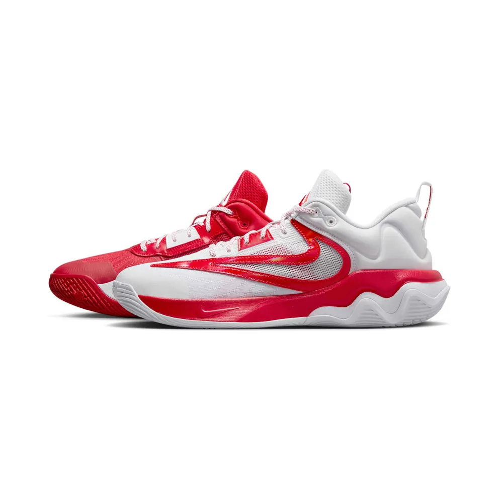 Nike Giannis Immortality 3 All Star (FV4057-600)
