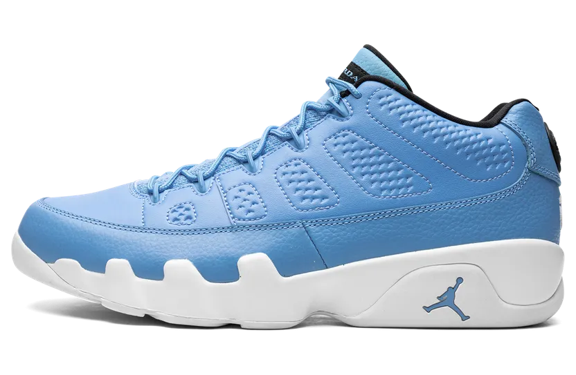 Air Jordan 9 Retro Low Pantone (832822-401)