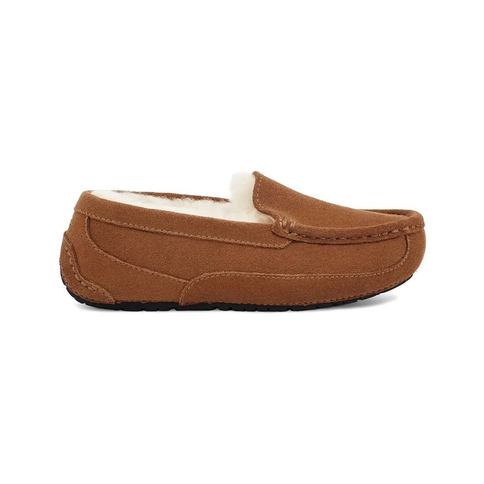 UGG Ascot Slipper Chestnut Suede (1120886K-CTSD)