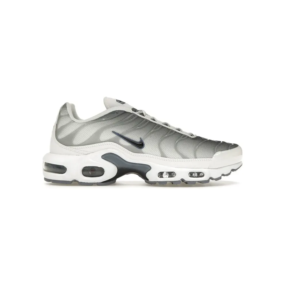 Nike Air Max Plus Smoke Grey Ashen Slate (FQ2892-100)