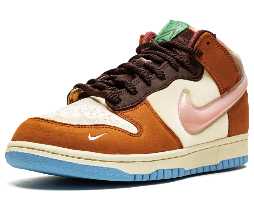 nike-dunk DJ1173-700