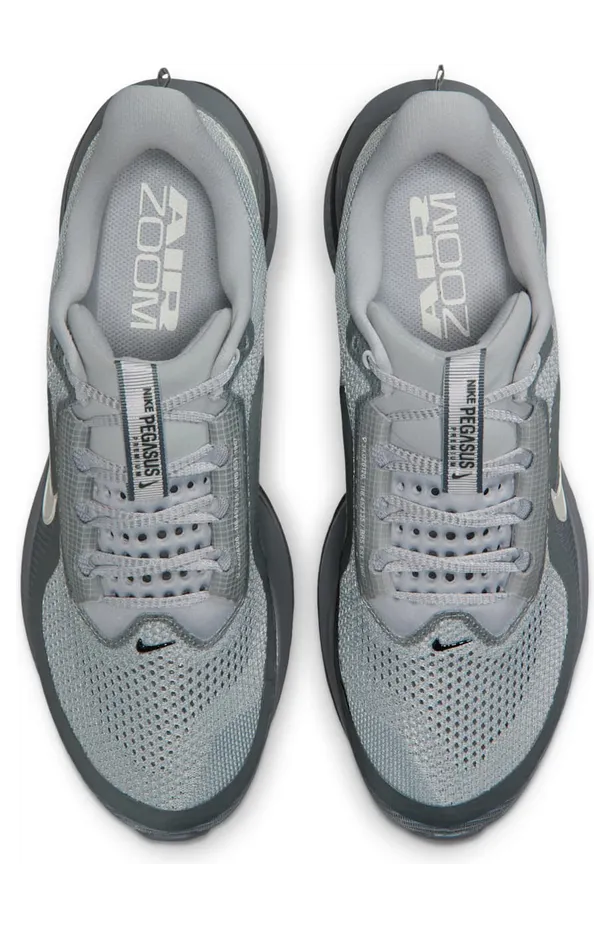 nike-air-pegasus HQ2592-013