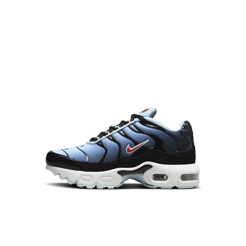 Nike Air Max Plus Black Blue Tint Light Smoke Grey Rugged Orange (CD0610-023)