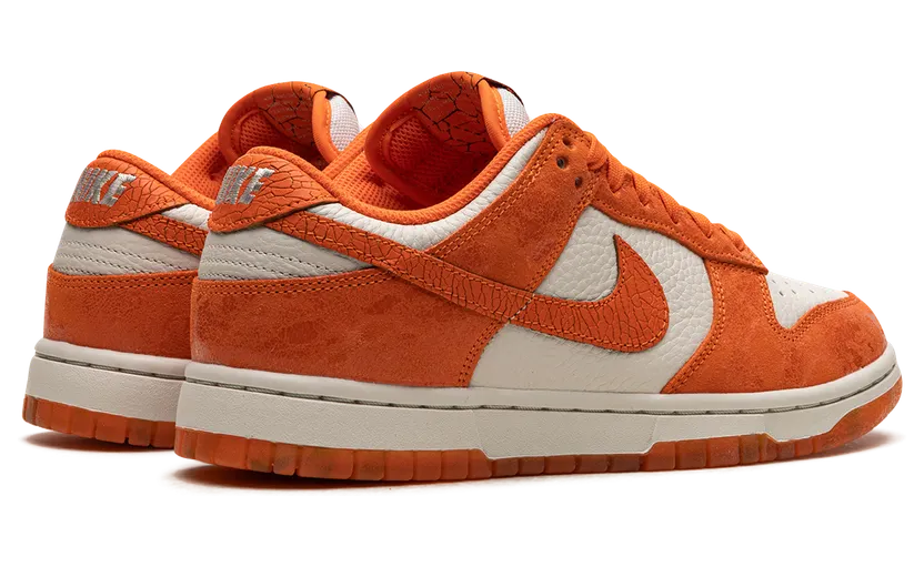 nike-dunk FN7773-001