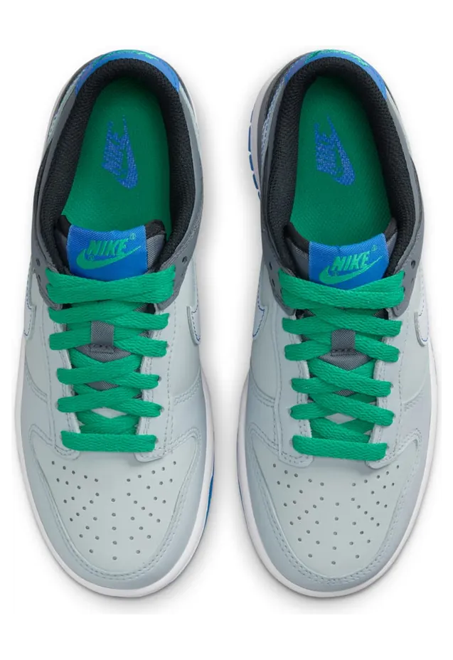 nike-dunk DH9765-004