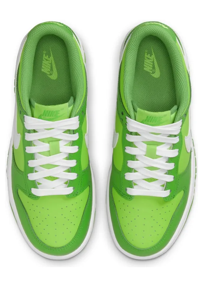 nike-dunk DH9765-301