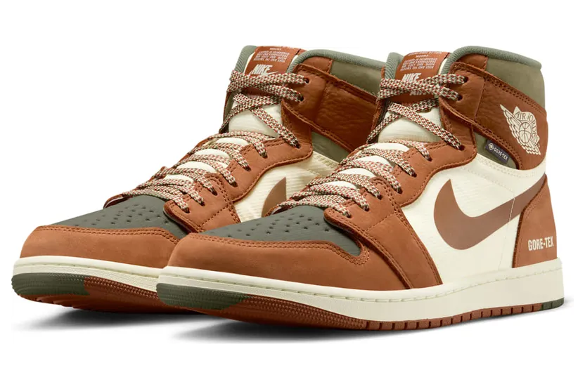 air-jordan-1 DB2889-102