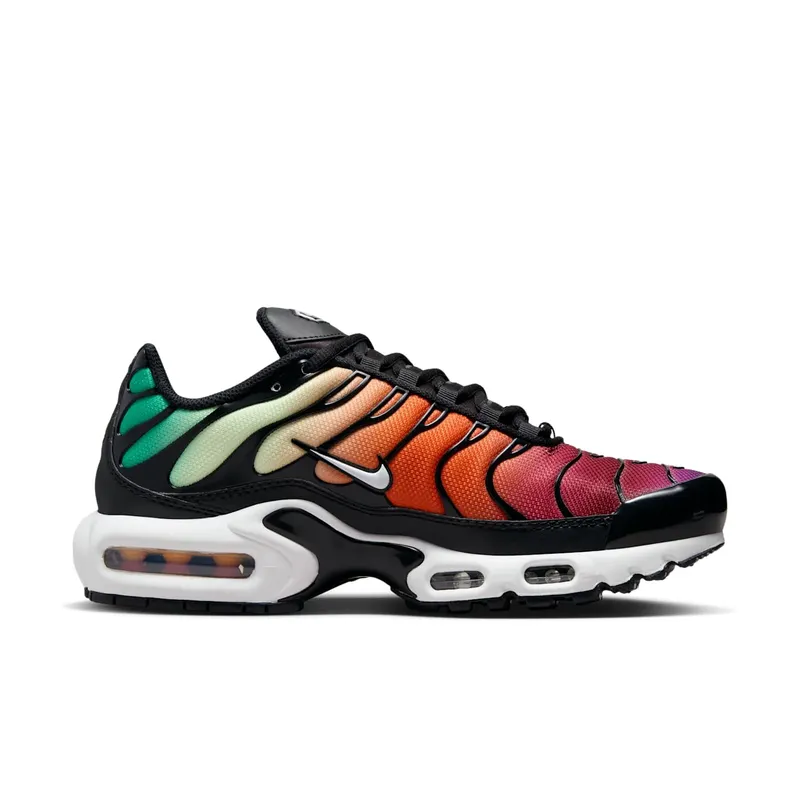 Nike Air Max Plus Rainbow (DZ3670-001)