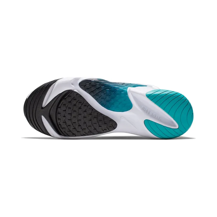 nike-zoom AO0269-106