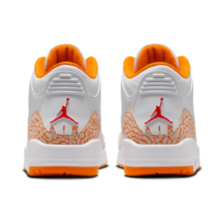 air-jordan-3 CK9246-101