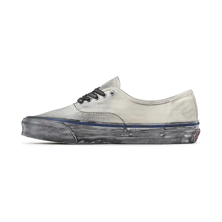 vans-authentic VN0A5FBD2VZ