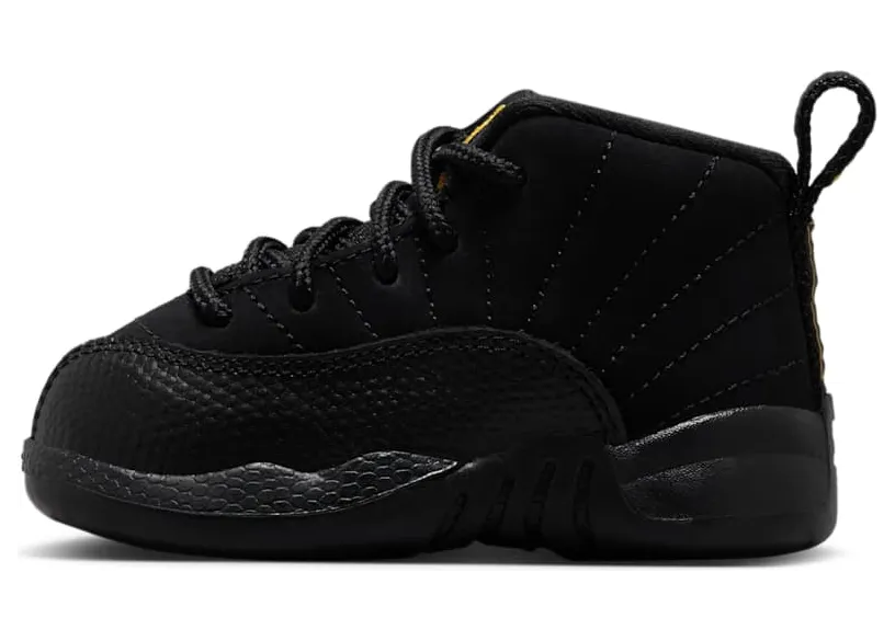 Air Jordan 12 850000-071