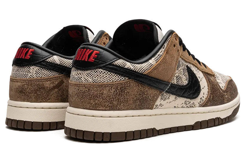 nike-dunk FJ5434-120