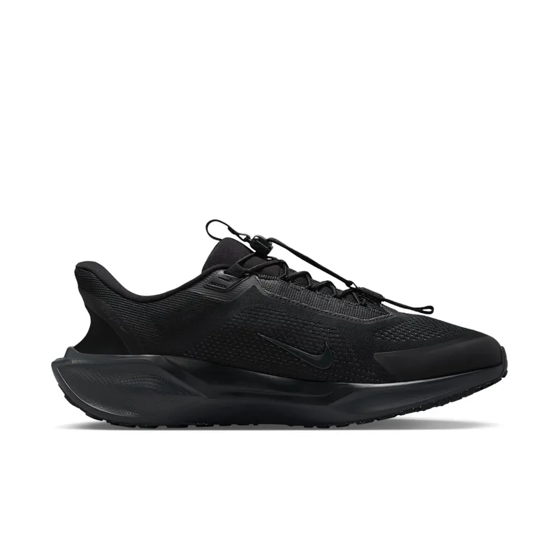 Nike Air Zoom Pegasus 41 EasyOn Black Anthracite (FQ7837-001)