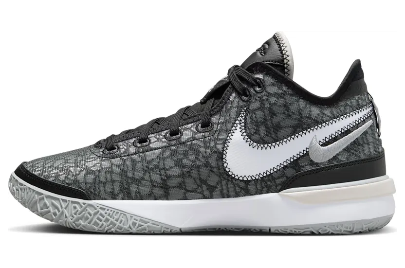 Nike Zoom LeBron NXXT Gen DR8784-005