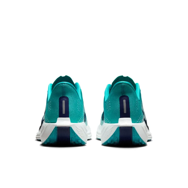 Nike Pegasus Plus “Dusty Cactus” (FQ7262-301)