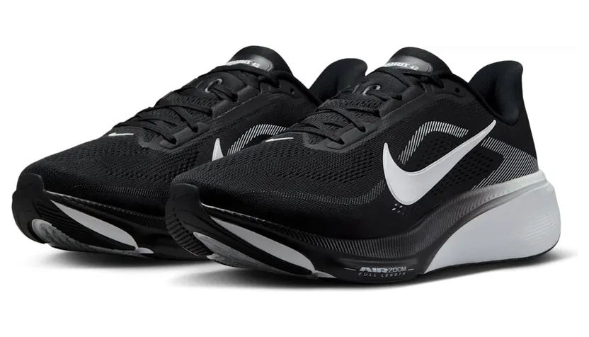 nike-air-pegasus IR1228-001
