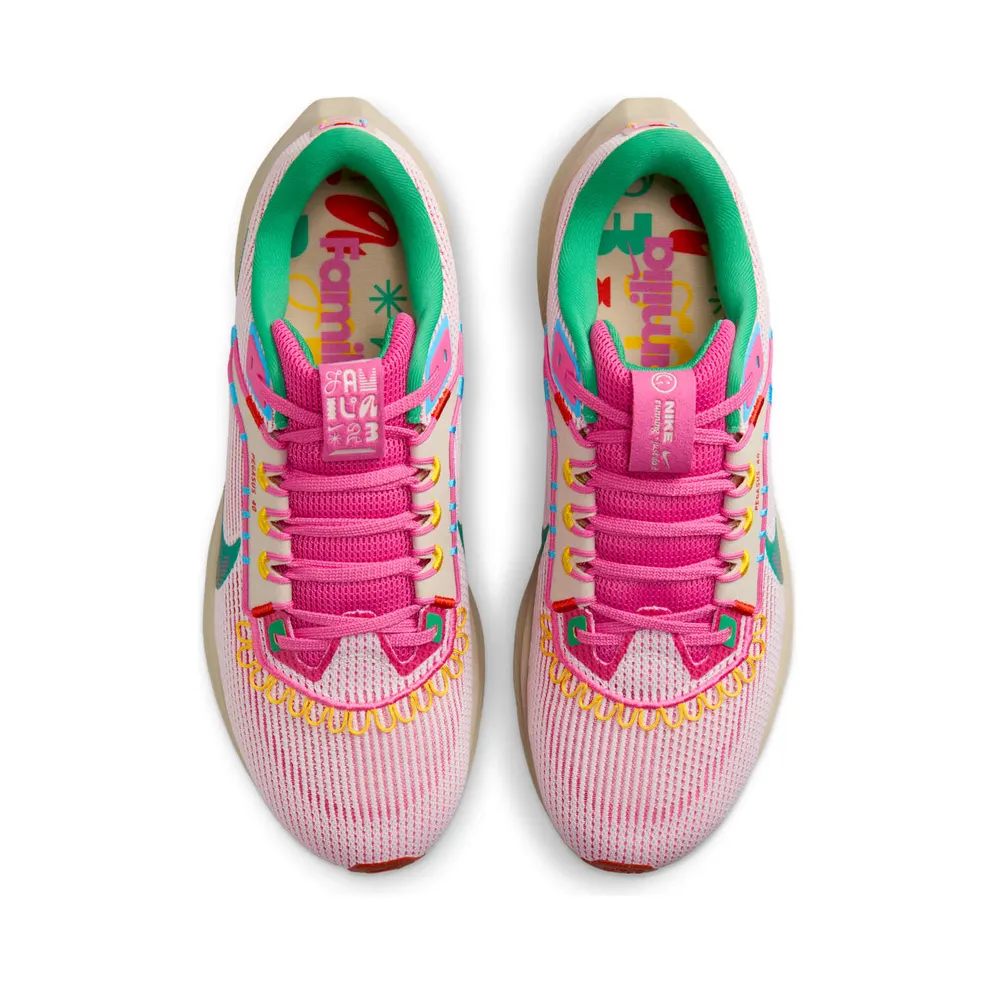 Nike Air Zoom Pegasus 40 Familia (FN0599-100)