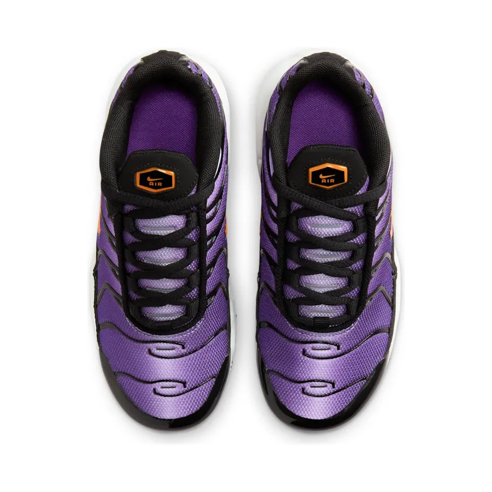 Nike Air Max Plus OG Voltage Purple (2024) (CD0610-024)
