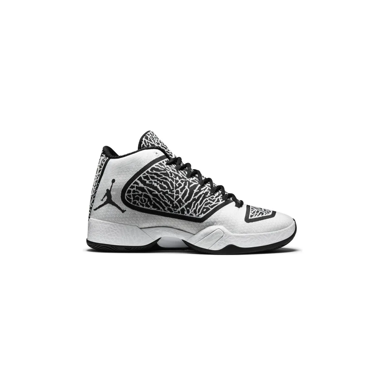 air-jordan-29 695515-070