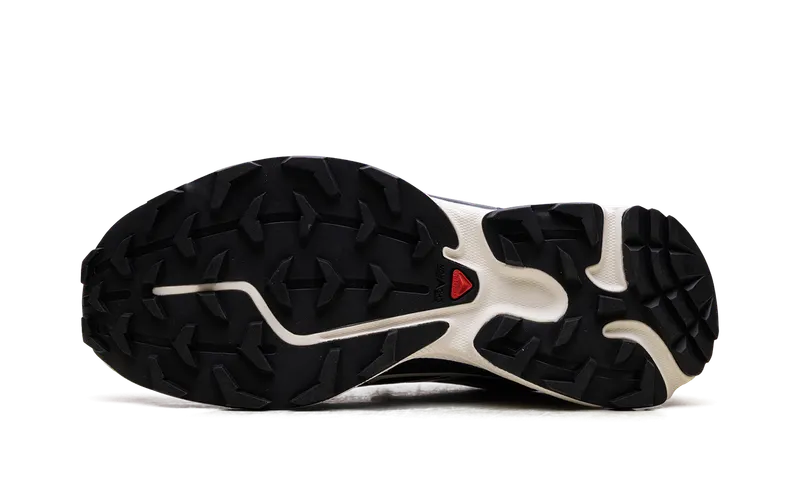 Salomon XT-6 GORE-TEX “Carbon Liberty” (L47732-500)
